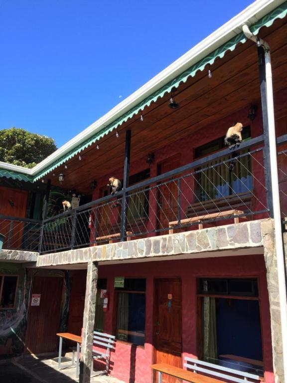 Manakin Lodge, Monteverde Cr Εξωτερικό φωτογραφία