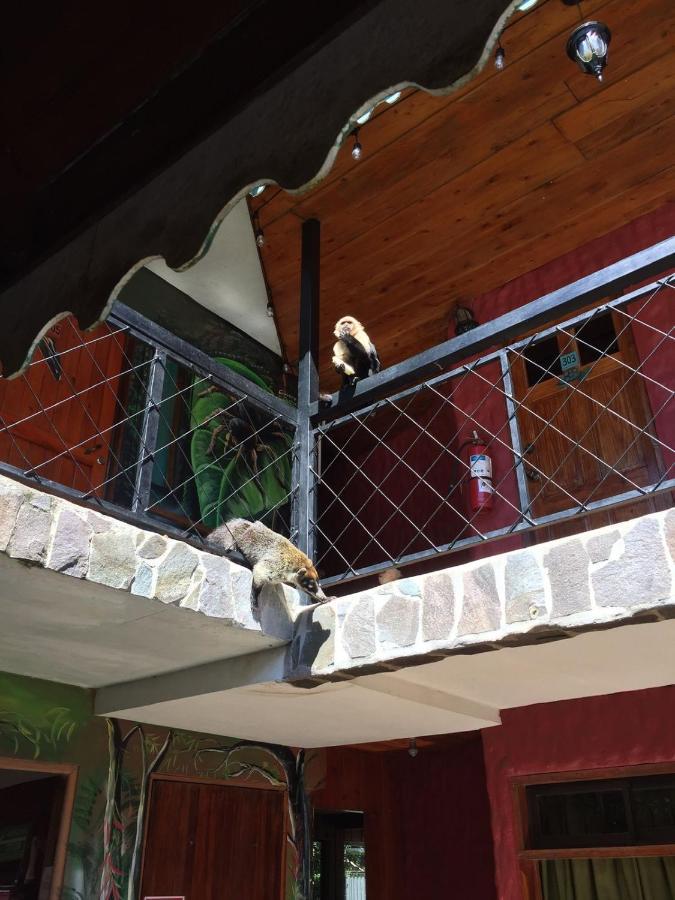 Manakin Lodge, Monteverde Cr Εξωτερικό φωτογραφία